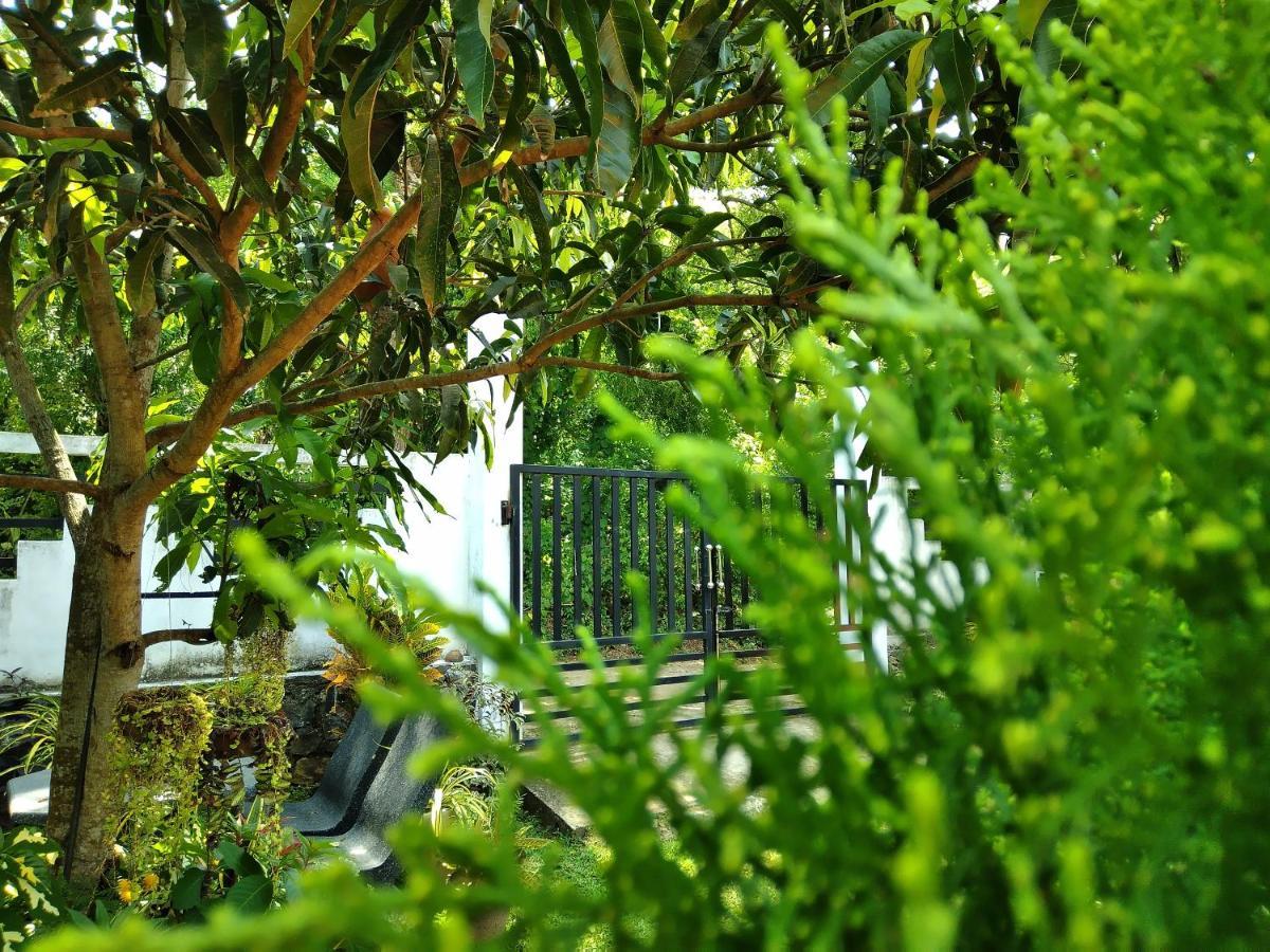 Sandhara Home Stay Tangalle Dış mekan fotoğraf
