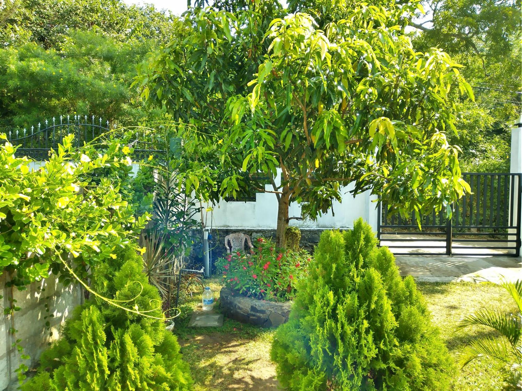Sandhara Home Stay Tangalle Oda fotoğraf