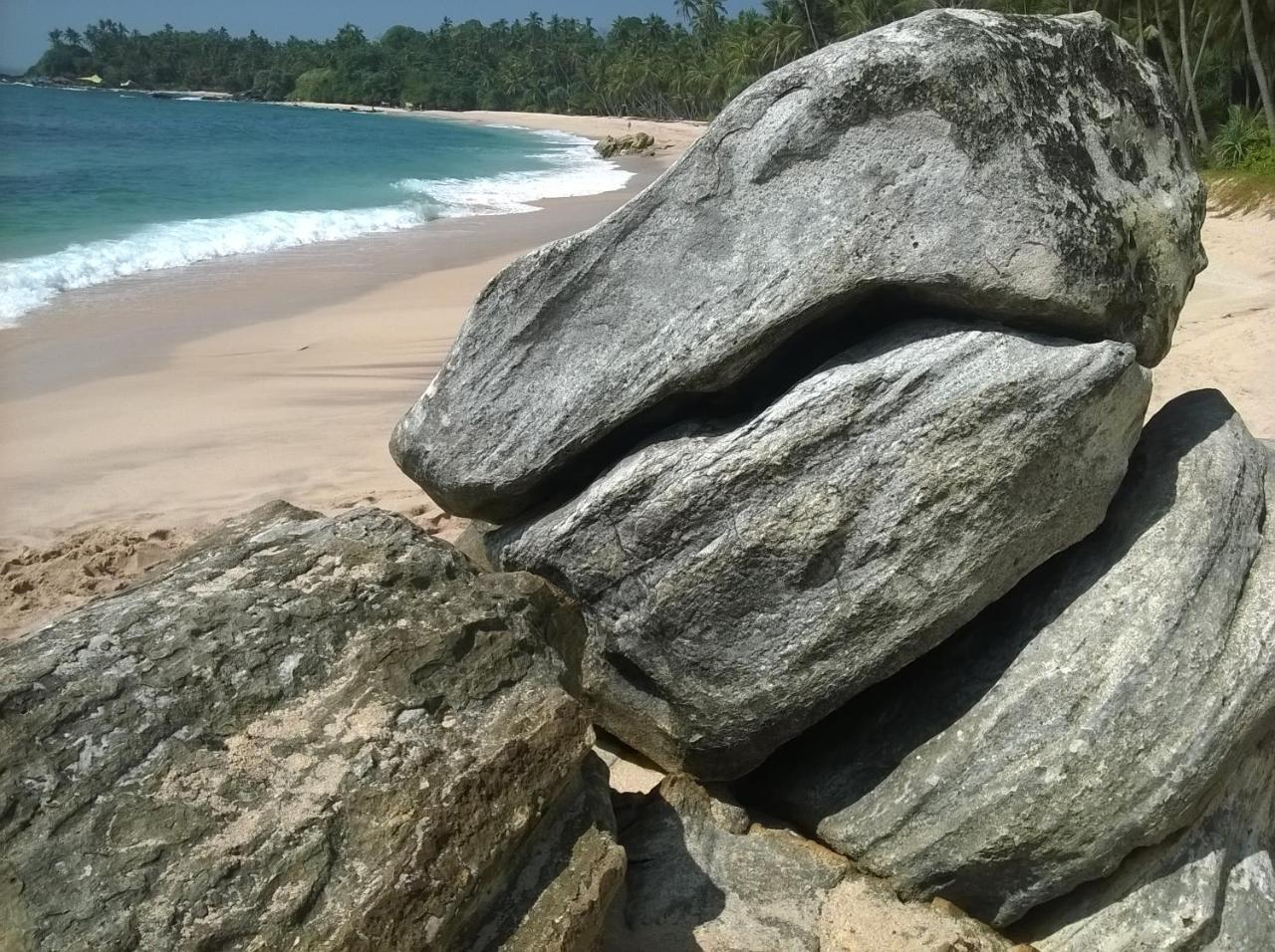 Sandhara Home Stay Tangalle Dış mekan fotoğraf